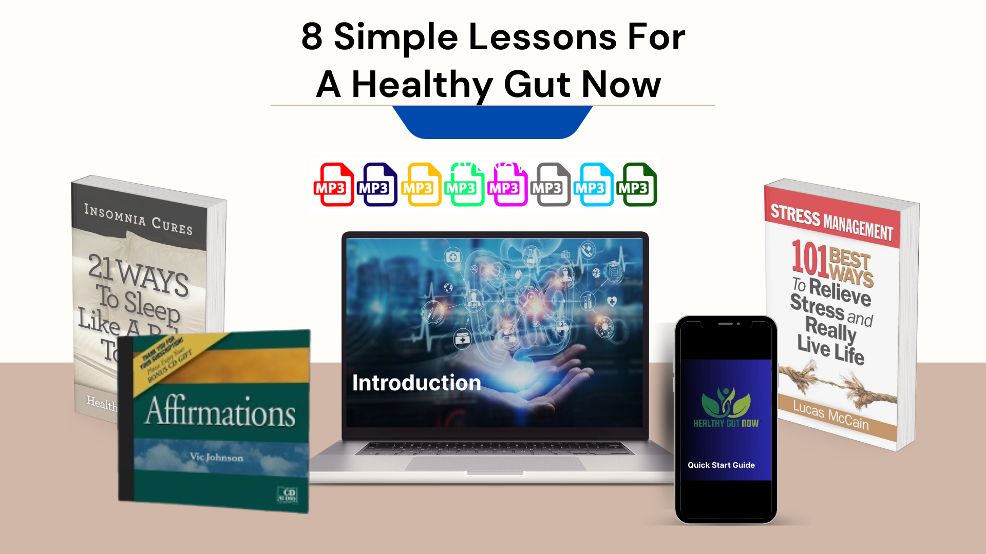 image of all of the elements of the Healthy Gut Now program