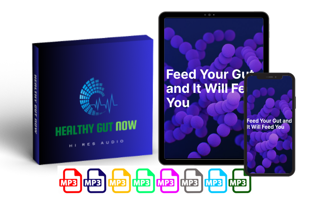 Image of Healthy Gut Now Audio Program